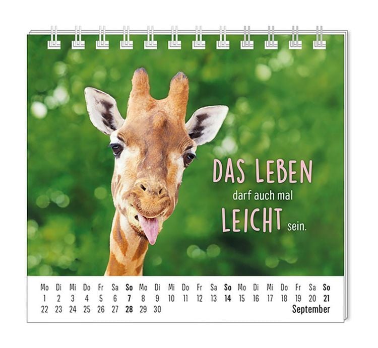 Mini-Kalender 2024 Happymacher