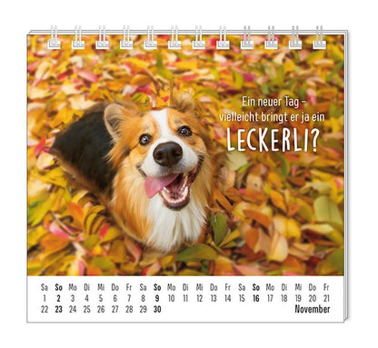 Mini-Kalender 2024 Happymacher