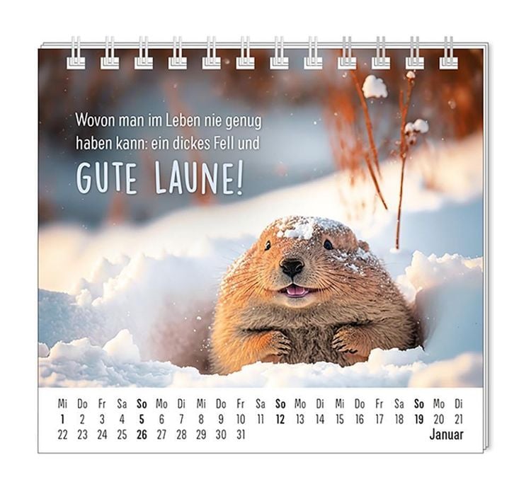 Mini-Kalender 2024 Happymacher