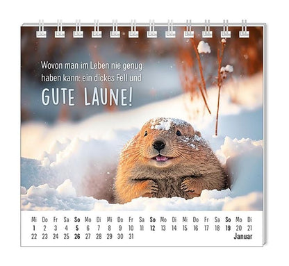 Mini-Kalender 2024 Happymacher