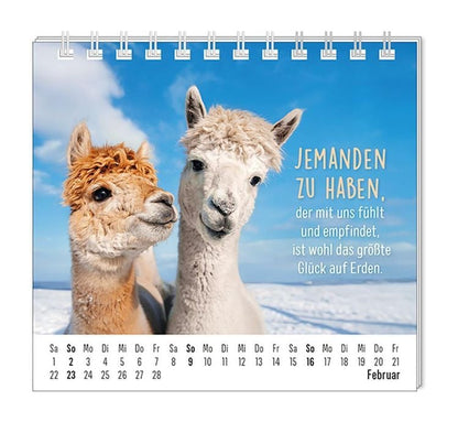 Mini-Kalender 2024 Happymacher