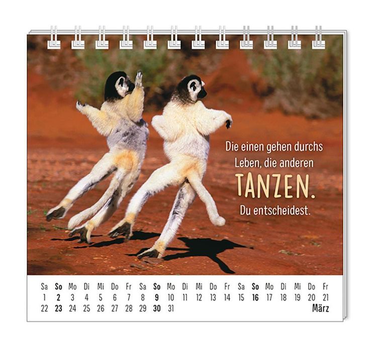 Mini-Kalender 2024 Happymacher