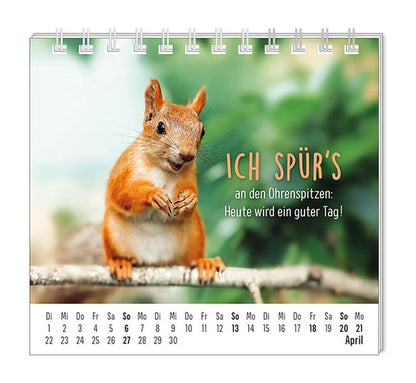 Mini-Kalender 2024 Happymacher