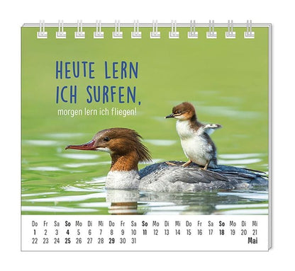 Mini-Kalender 2024 Happymacher