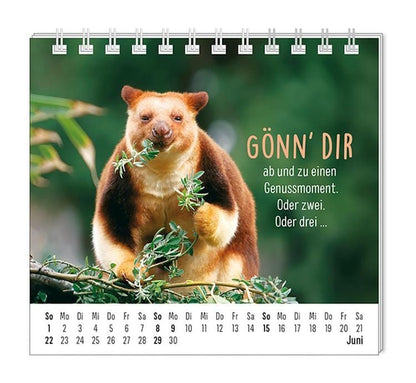Mini-Kalender 2024 Happymacher