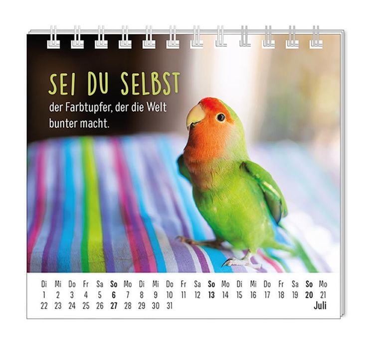 Mini-Kalender 2024 Happymacher