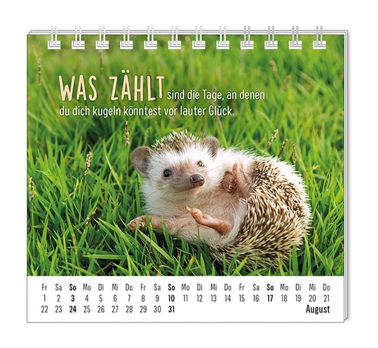 Mini-Kalender 2024 Happymacher