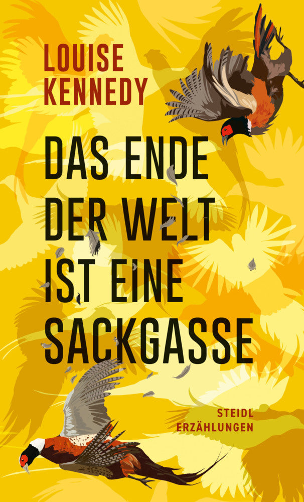 Das Ende der Welt ist eine Sackgasse (Louise Kennedy)