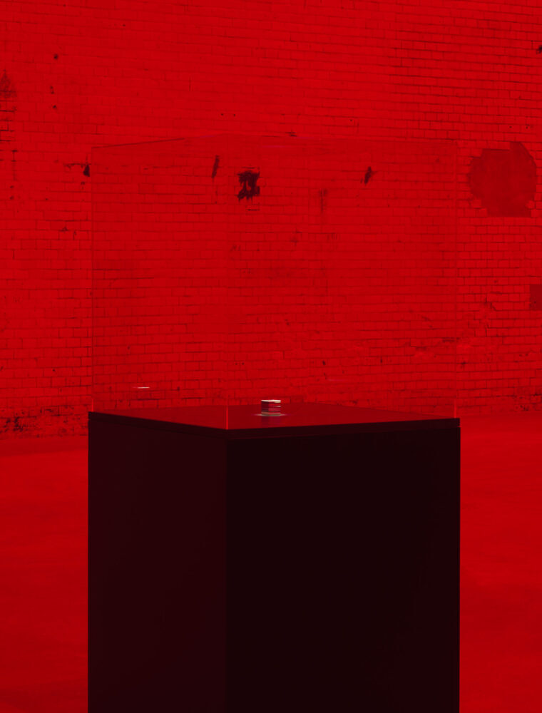 The End of the World (Alfredo Jaar)