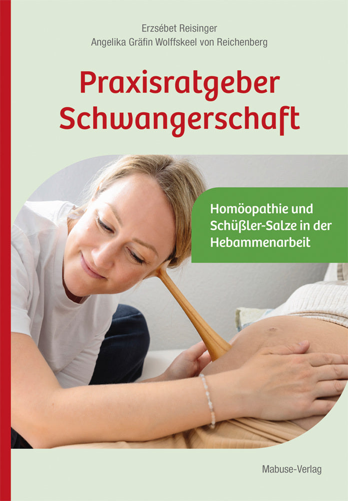 Praxisratgeber Schwangerschaft (Erzsébet Reisinger)