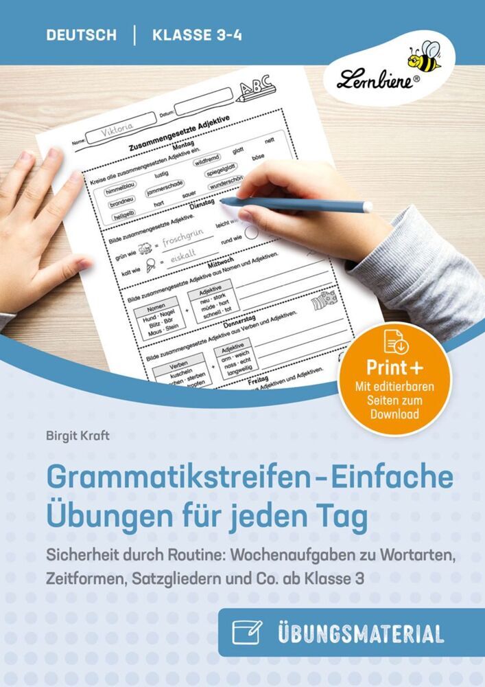 Grammatikstreifen - Einfache Übungen für jeden Tag (Birgit Kraft)