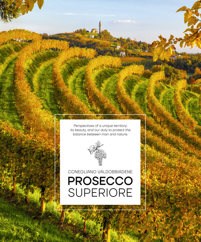 Prosecco Superiore (Elisa Giraud)