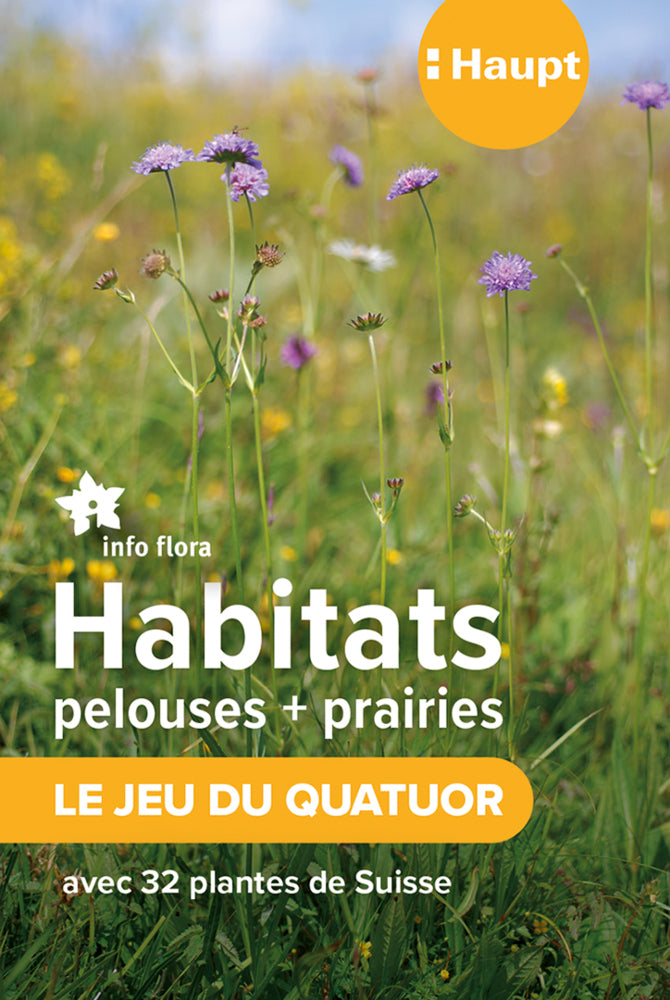 Habitats pelouses et prairies - le jeu du quatuor (Info Flora)