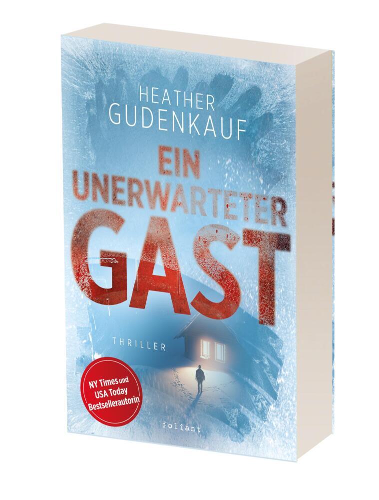 Ein unerwarteter Gast (Heather Gudenkauf)