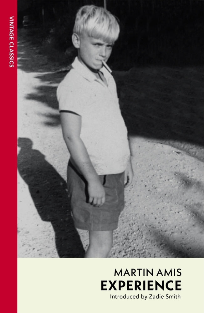 Experience (Martin Amis)