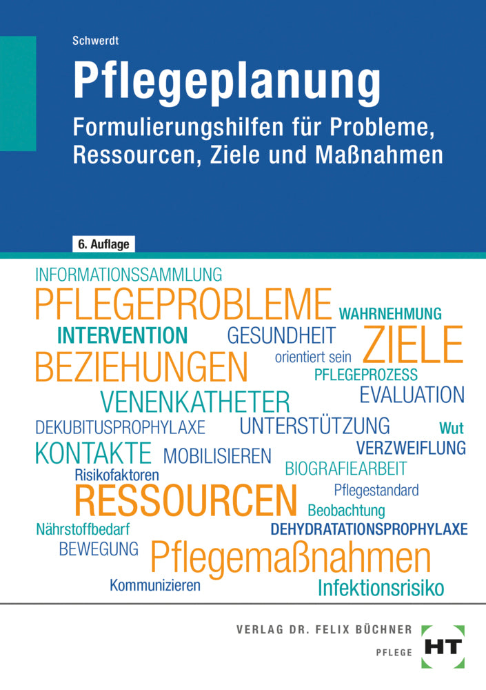 Pflegeplanung (Christine Schwerdt)