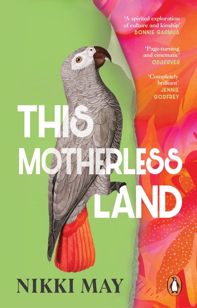 This Motherless Land (Nikki May)