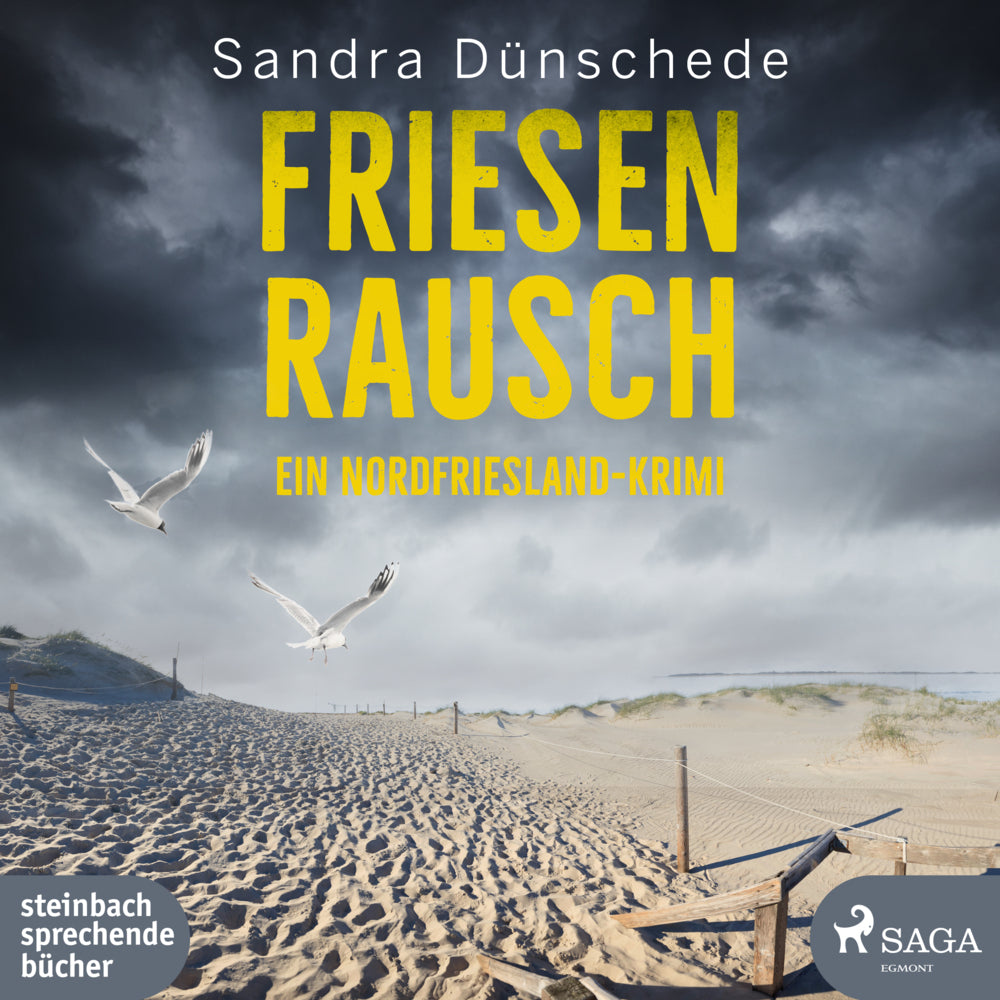 Friesenrausch, 1 Audio-CD, 1 MP3 (Sandra Dünschede)
