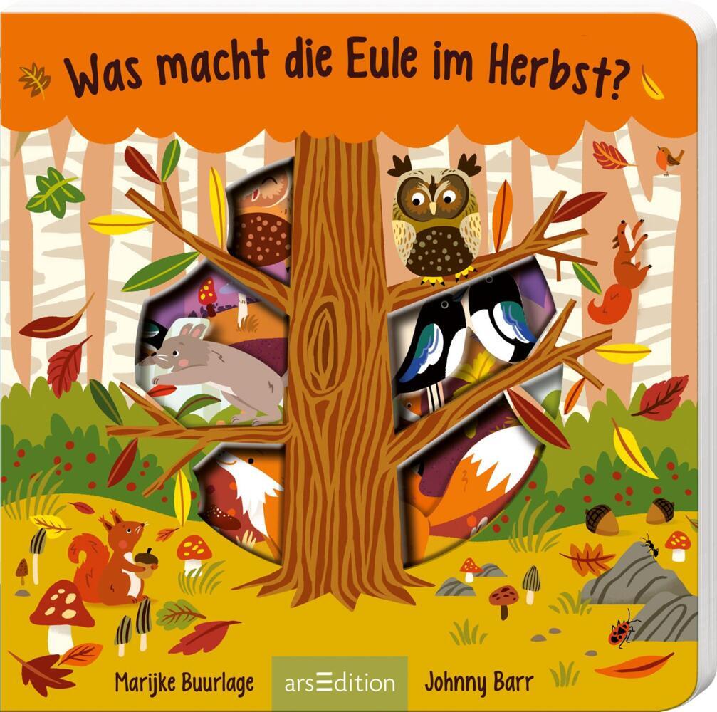 Was macht die Eule im Herbst? (Johnny Barr)
