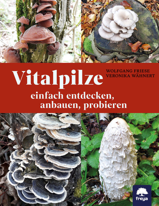 Vitalpilze (Wolfgang Friese)