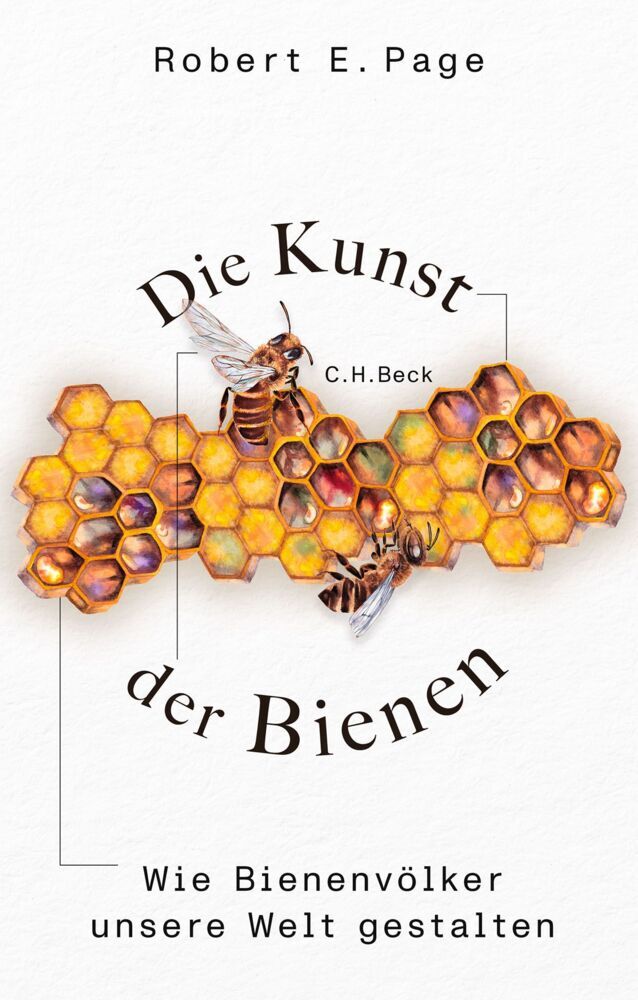 Die Kunst der Bienen (Robert E. Page)