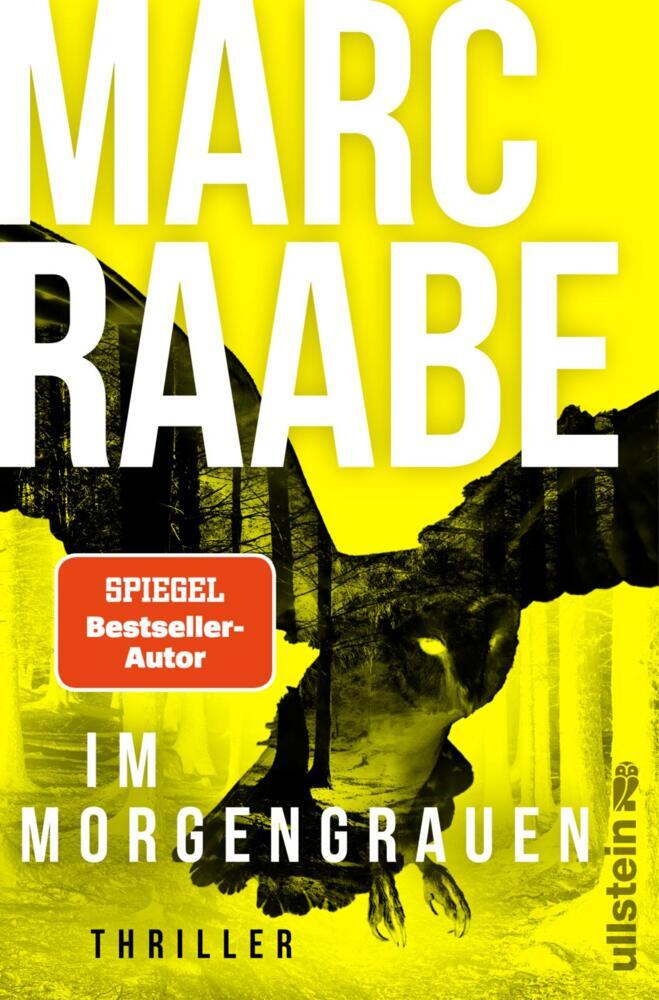 Im Morgengrauen (Marc Raabe)