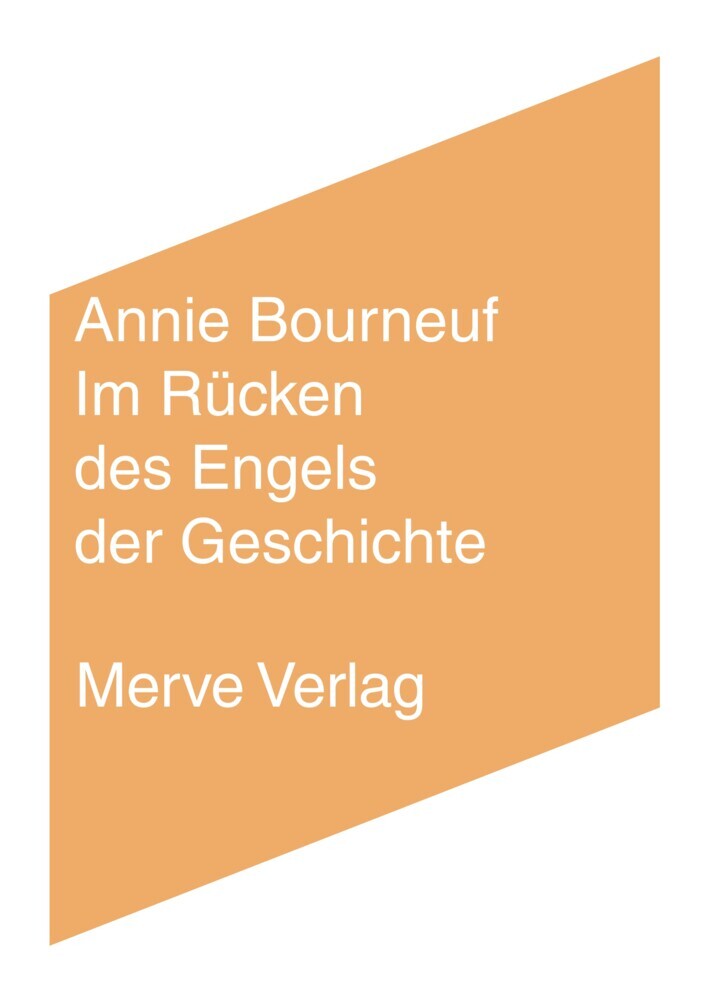 Im Rücken des Engels der Geschichte (Annie Bourneuf)