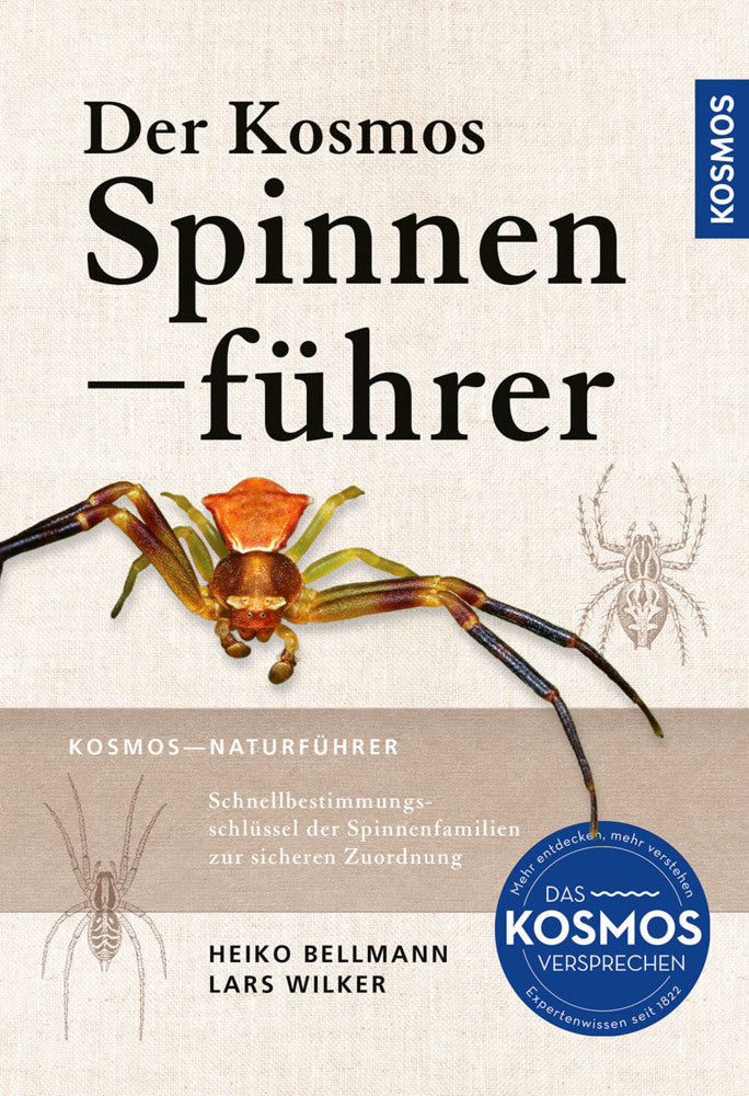 Der Kosmos Spinnenführer (Heiko Bellmann)