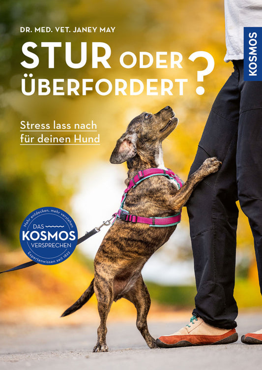 Stur oder überfordert? (Janey May)