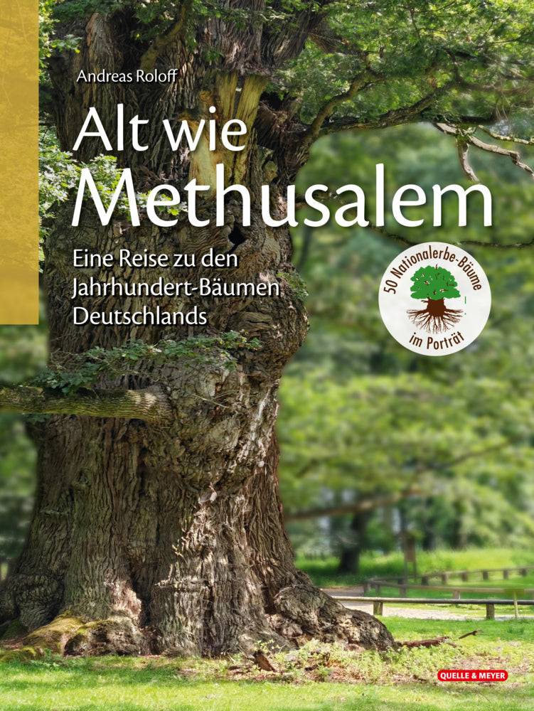 Alt wie Methusalem - Eine Reise zu den Jahrhundert-Bäumen Deutschlands (Andreas Roloff)