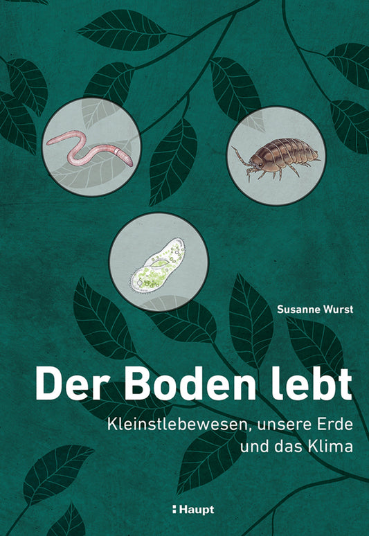 Der Boden lebt (Susanne Wurst)