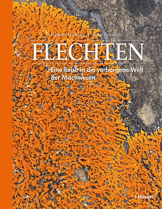 Flechten (Robert Lücking)