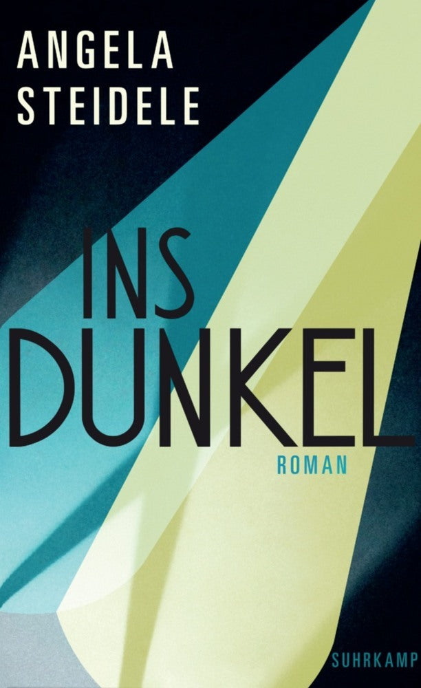 Ins Dunkel (Angela Steidele)