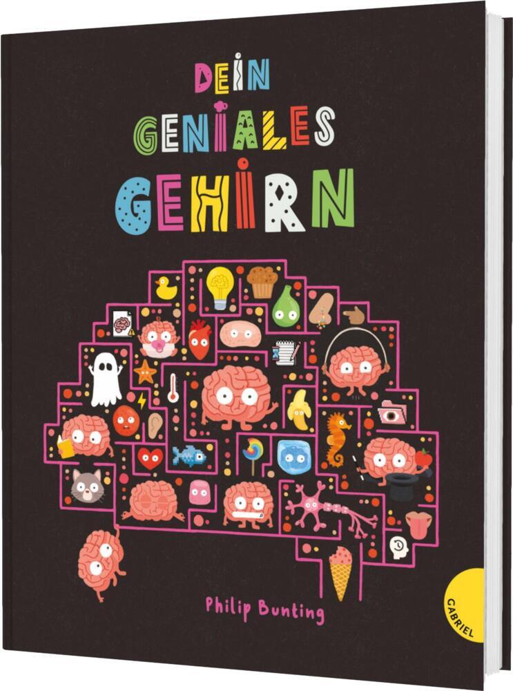 Dein geniales Gehirn (Philip Bunting)