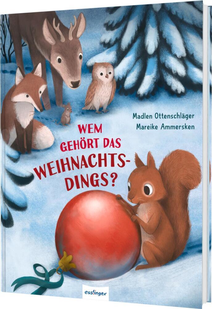 Wem gehört das Weihnachtsdings? (Madlen Ottenschläger)