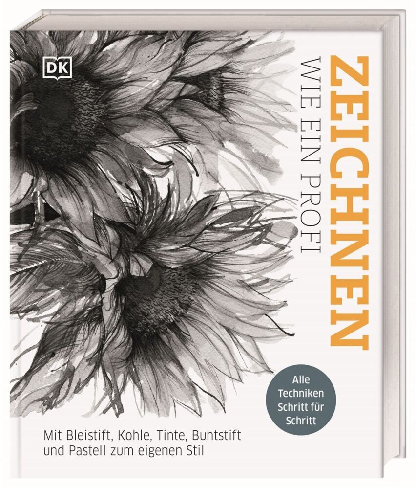 Zeichnen wie ein Profi (Dk Verlag)