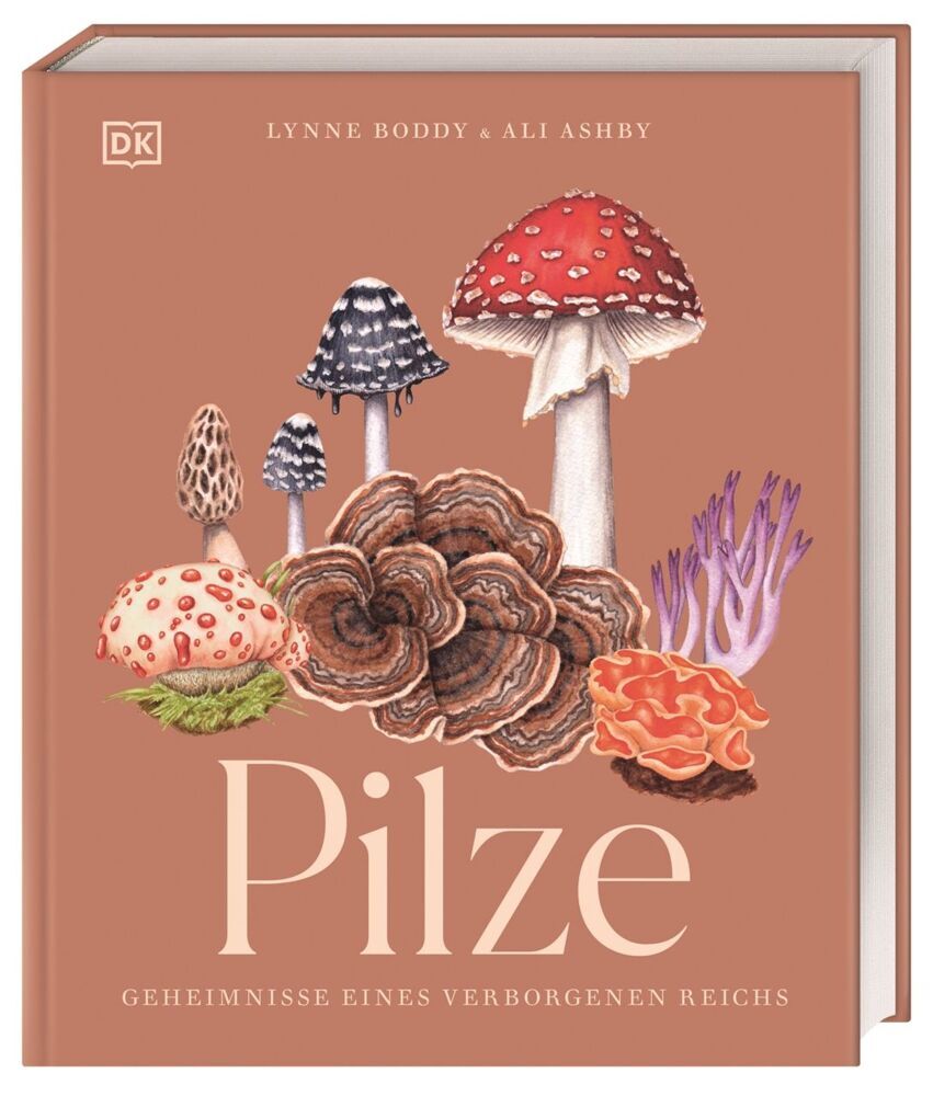 Pilze (Ali Ashby)