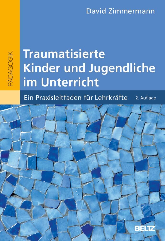 Traumatisierte Kinder und Jugendliche im Unterricht (David Zimmermann)