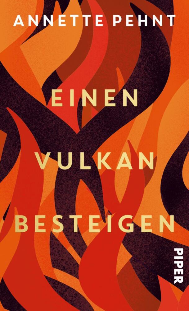 Einen Vulkan besteigen (Annette Pehnt)