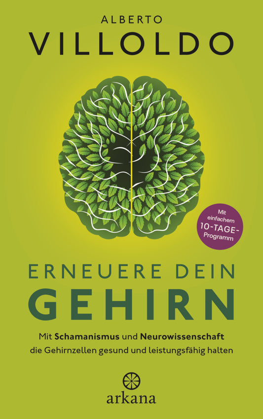 Erneuere dein Gehirn (Alberto Villoldo)
