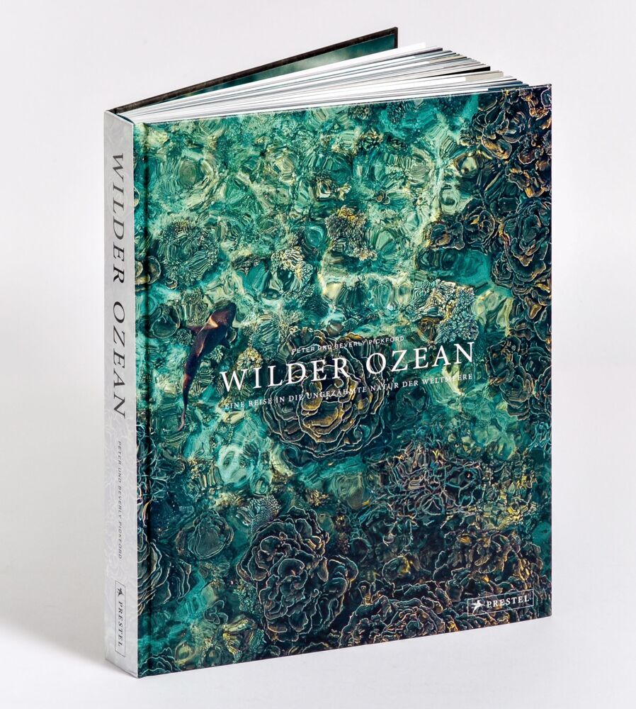 Wilder Ozean (Peter & Beverly Pickford)