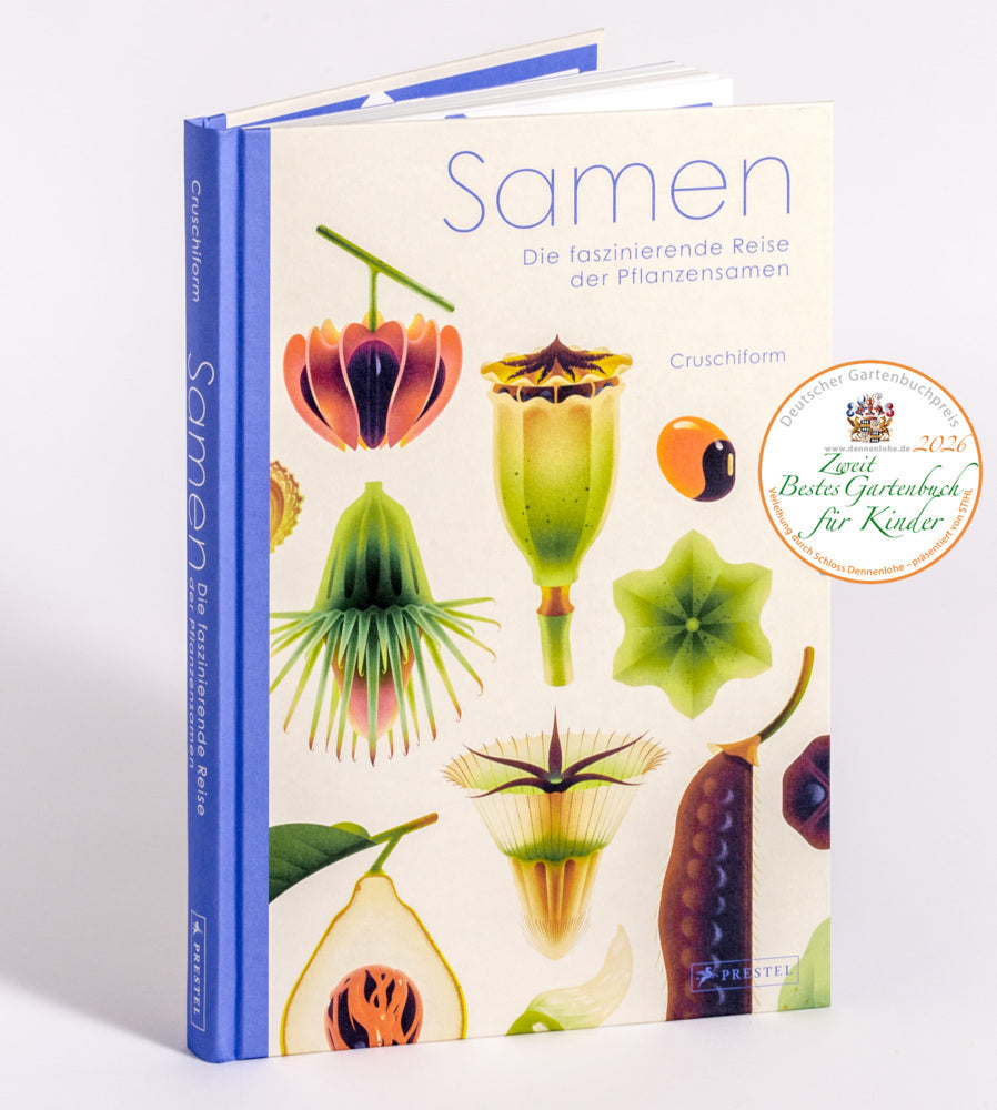 Samen (Cruschiform)