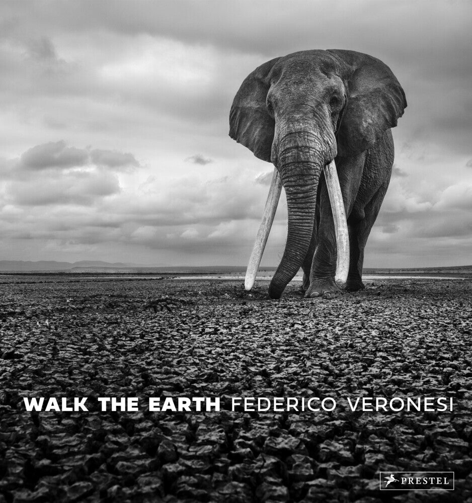 Walk the Earth (Federico Veronesi)