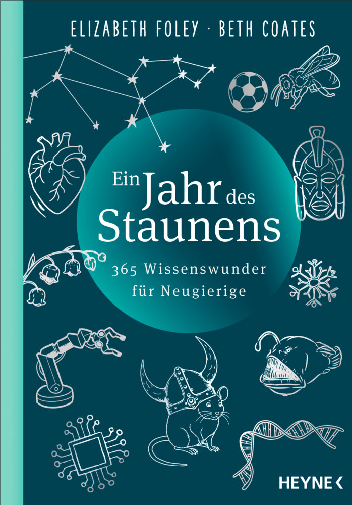 Ein Jahr des Staunens (Elizabeth Foley)