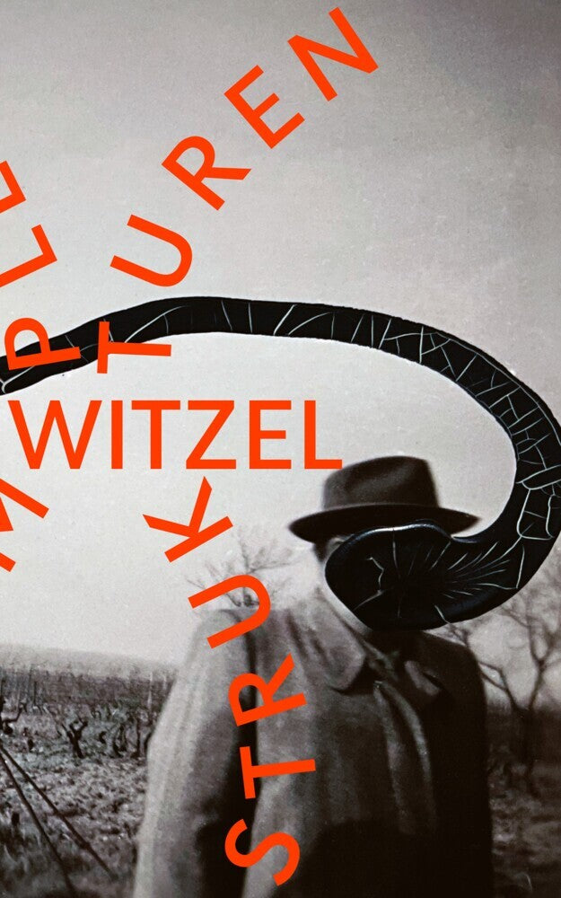 Komplexe Strukturen (Frank Witzel)