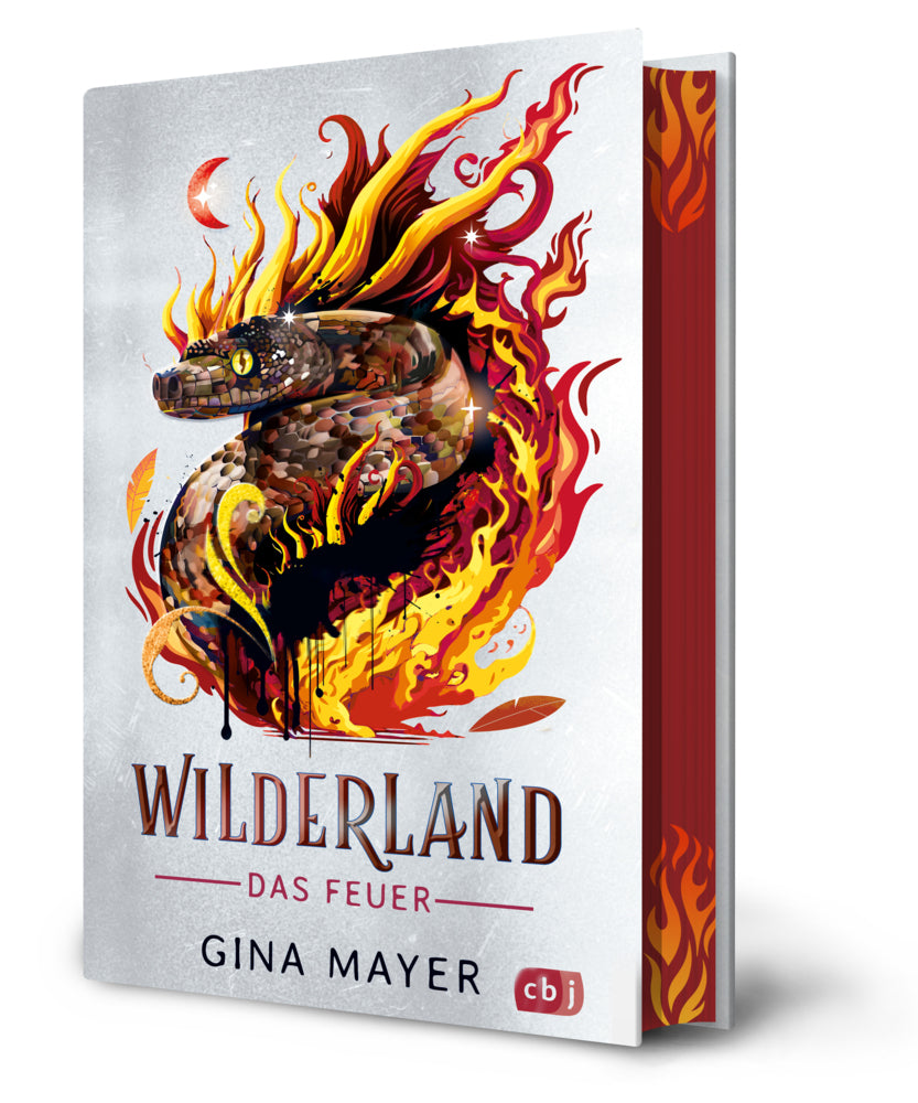 Wilderland - Das Feuer (Gina Mayer)