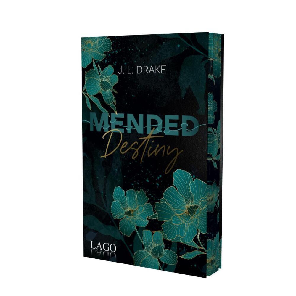 Mended Destiny (J. L. Drake)