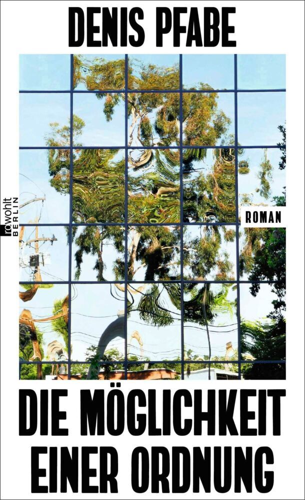 Die Möglichkeit einer Ordnung (Denis Pfabe)