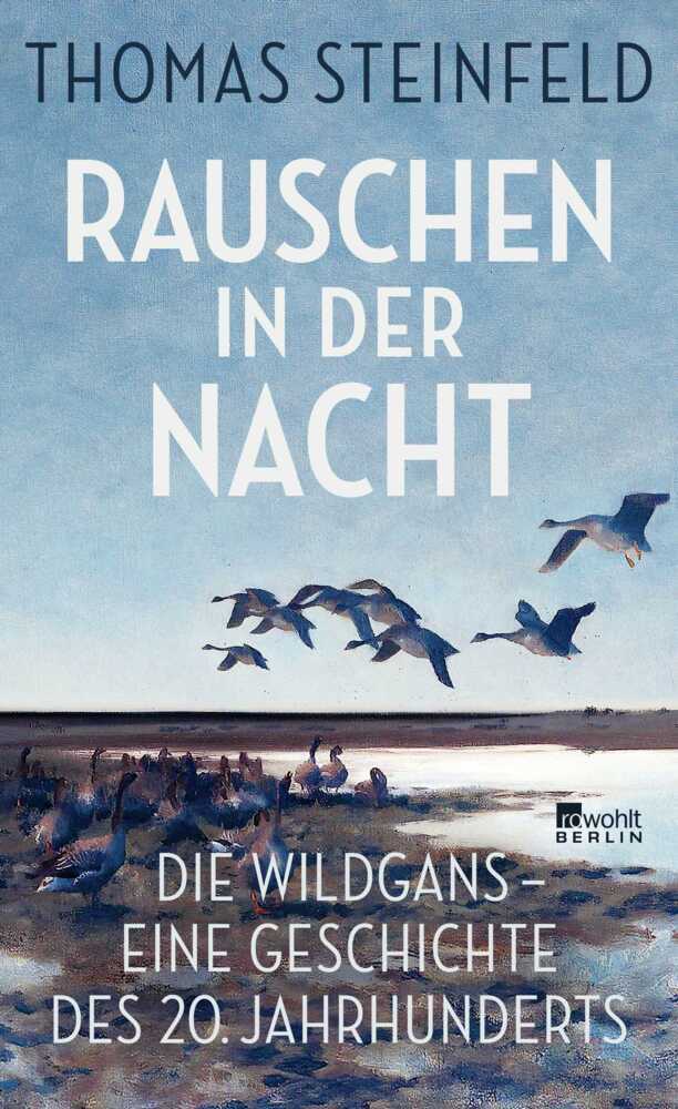 Rauschen in der Nacht (Thomas Steinfeld)