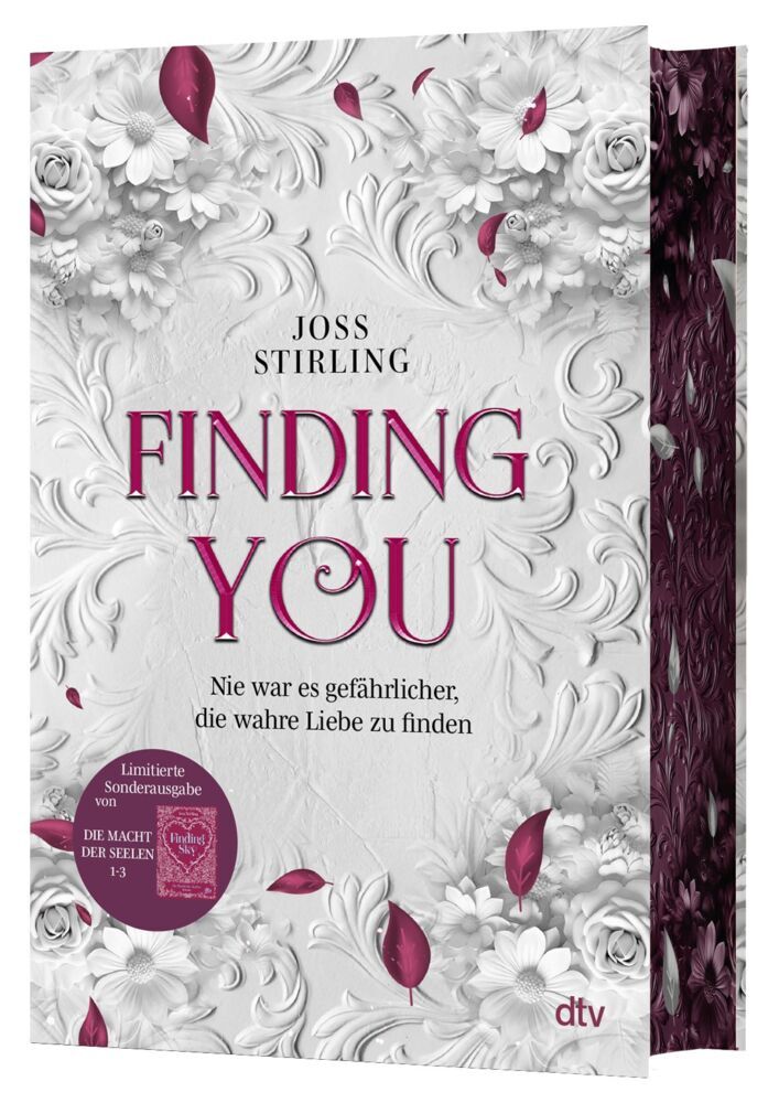 Finding You - Die Macht der Seelen (Joss Stirling)